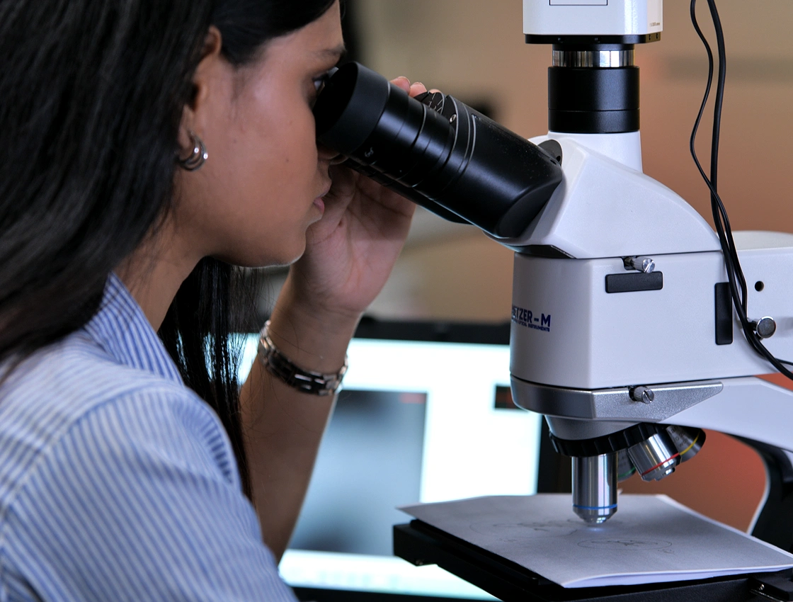Forensic Fibre Examination